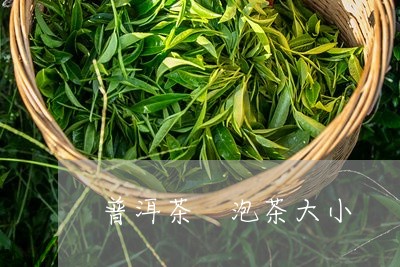 普洱茶 泡茶大小/2023041070416